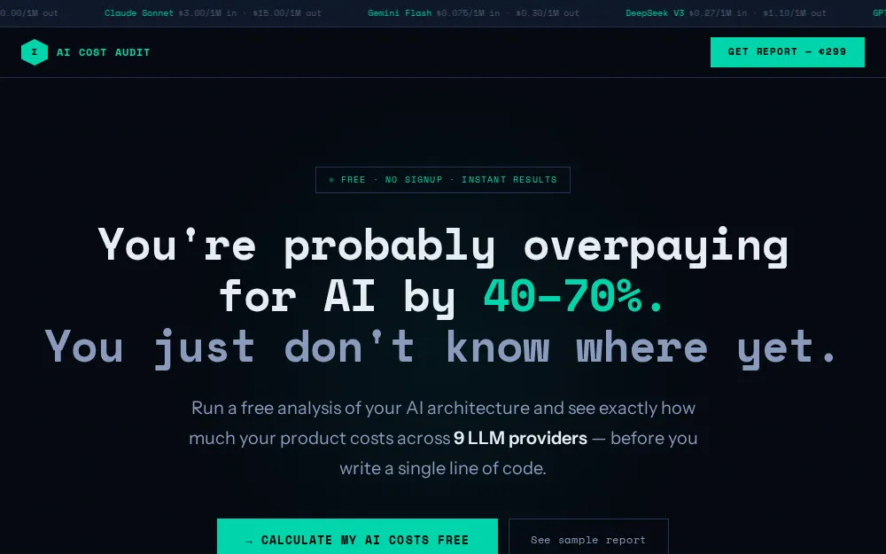 Ai Cost Audit